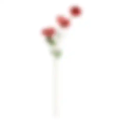 Klaproos rood 71cm