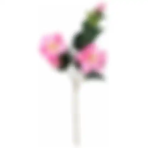 Tak Hibiscus roze 76cm