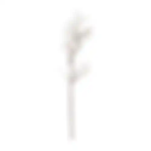 Wilgentak groen 106cm