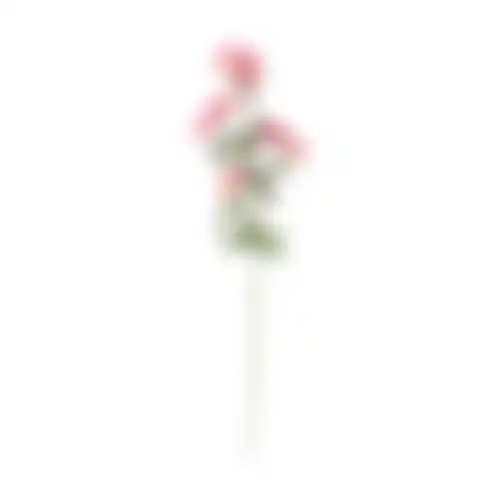 Daisy op steel roze 70cm