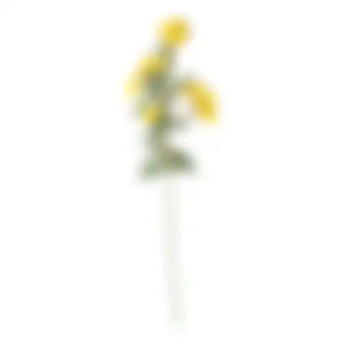 Daisy op steel geel 70cm