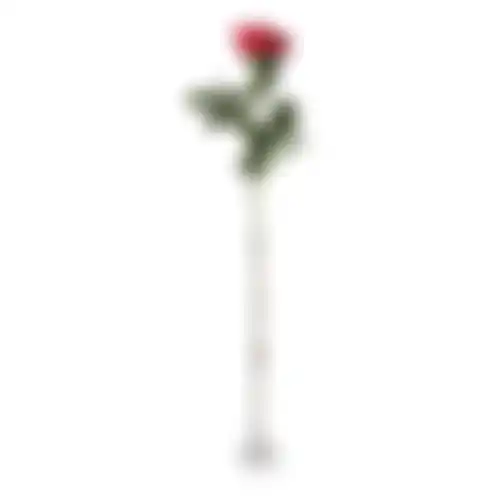 Roos op steel rood 71cm