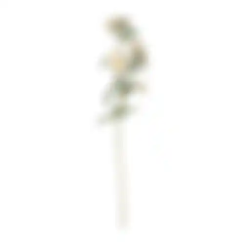 Daisy op steel wit 70cm