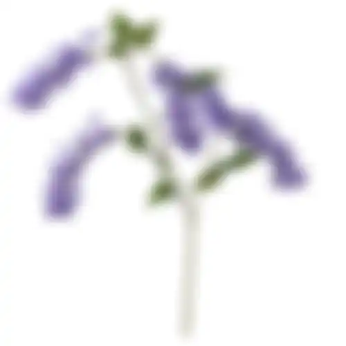 Wisteria op steel paars 110cm