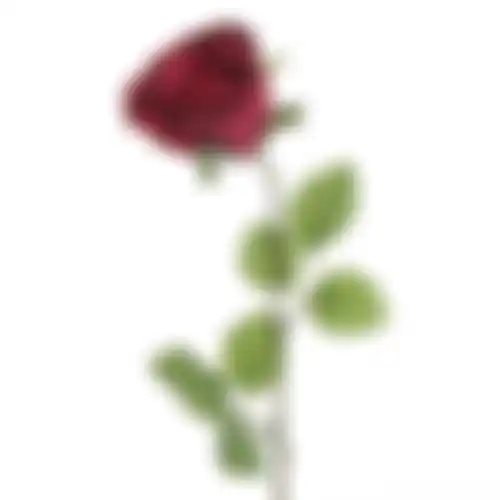 Roos 45cm fuchsia