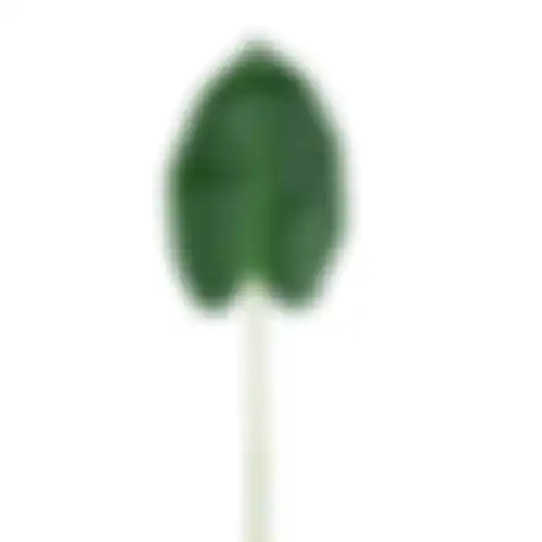 Tak Philo groen bont 78cm