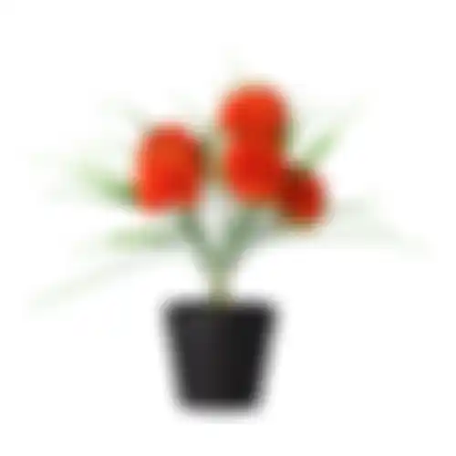 Chrysant in pot roze oranje creme 3 ass