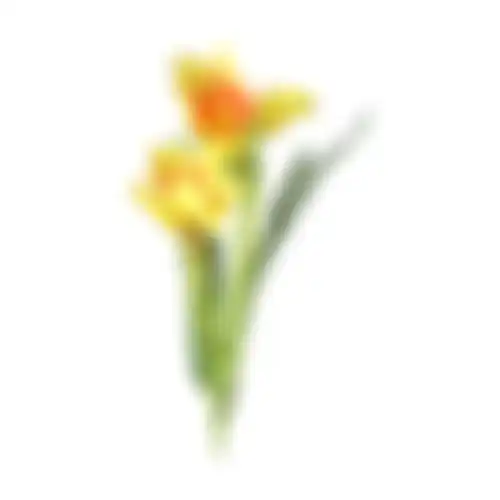 Paasbloemen 58cm geel 6 ass