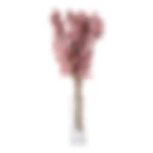Besjes roze 25cm