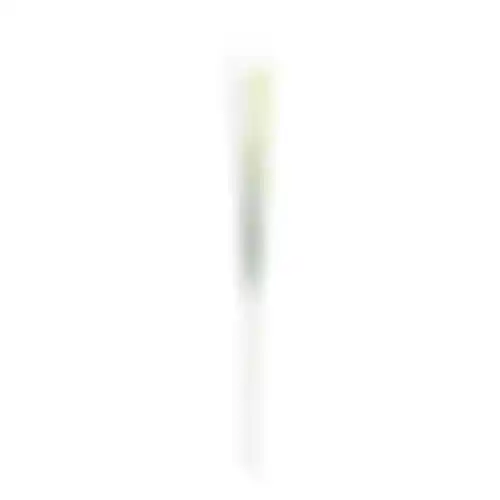 Grasbundel 131cm groen