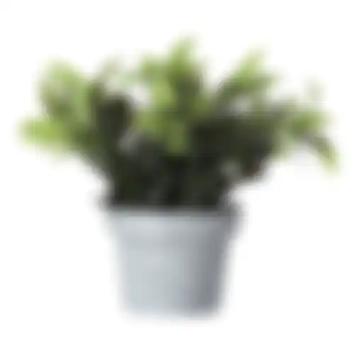 Bloem in pot 28cm 3ass