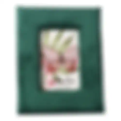 Kader fluweel dgroen 24x19cm