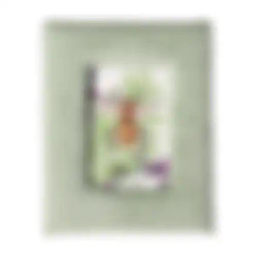 Kader fluweel groen 20x16cm