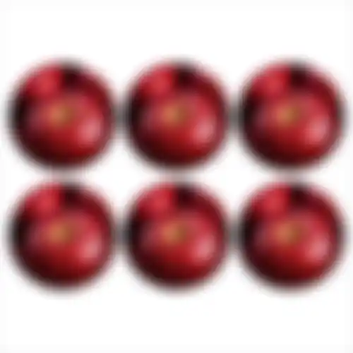 Onderzetter rond fruit 10cm 6ass nc