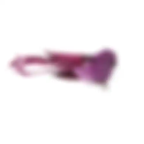 Vogel op clip paars 18x4x5cm 2st nc