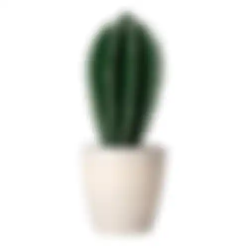 Plant cactus deco 19cm ass