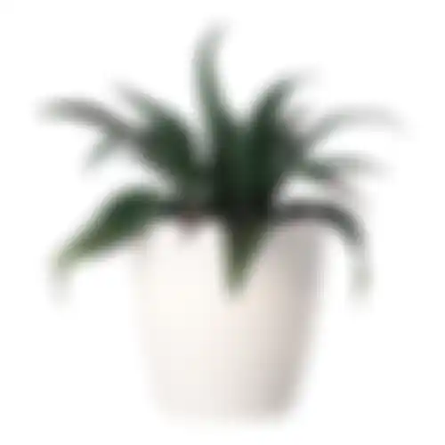 Mini vetplant deco 15cm ass
