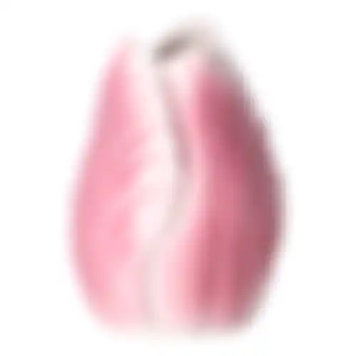 Vaas tulp roze 20cm