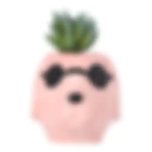 Plant in pot keramiek 11x8x12cm nc 2ass