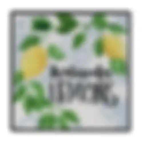 Onderzetter vierkant citrus 15cm 6ass nc