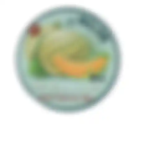 Onderzetter rond 10cm 6ass