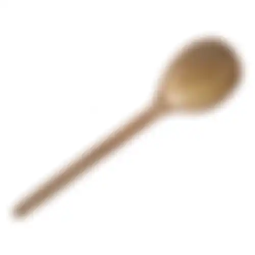 Lepel deco hout 31cm