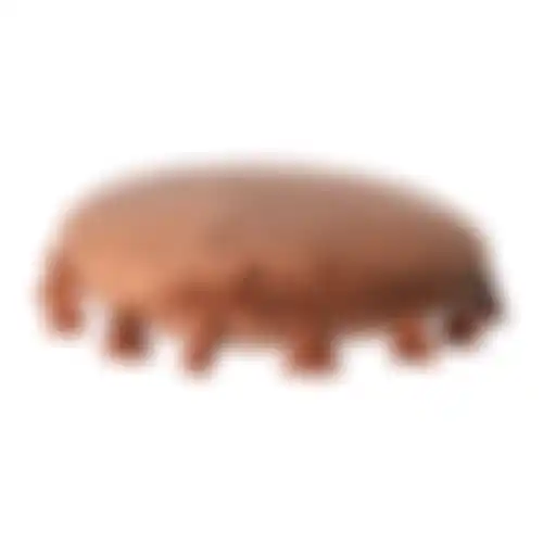Kussen 45cm Nasby 3ass