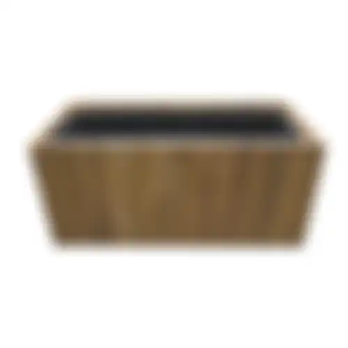 Pot Fussy acacia