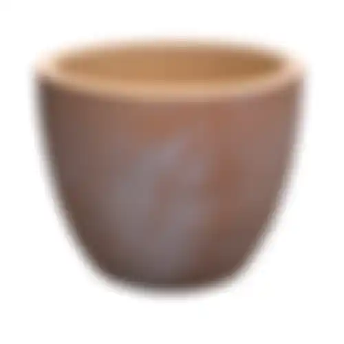 Pot Portly Leaf Egg White Wash