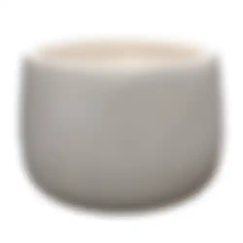 Pot Capradosso