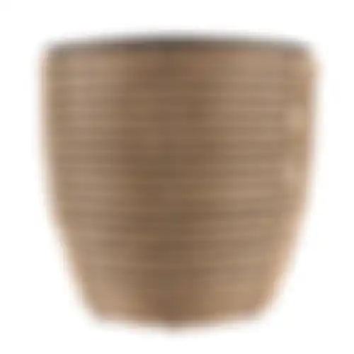 Gagliano rotan