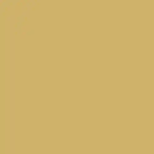 Tafelkleed 138x280 XXL gold