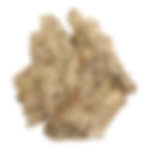 Berk 300g goud NC