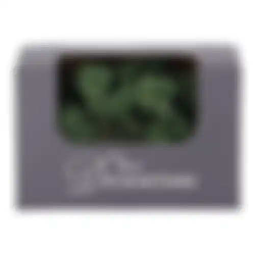 Deco reindeermoss 50g mosgroen