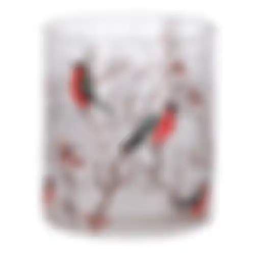 Theelichthouder glas vogels 9x9x10cm nc