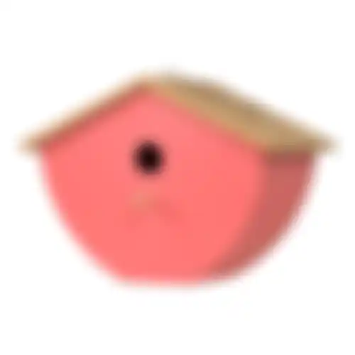 Vogelhuis bamboe hangend 26x16cm rose
