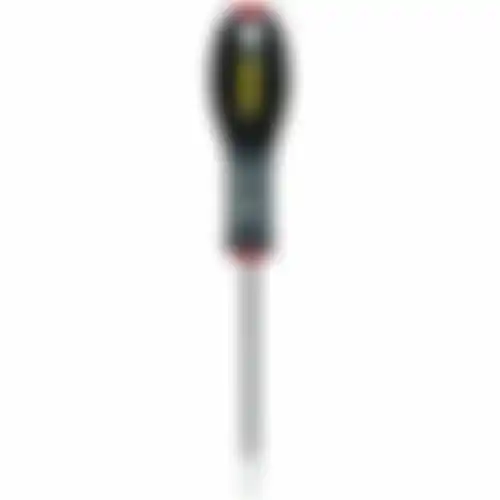 Schroevendr ST 5,5x100 0-65-098 FM