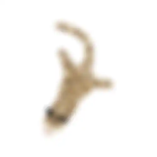 Speelgoed hond wild zoo 60cm asst