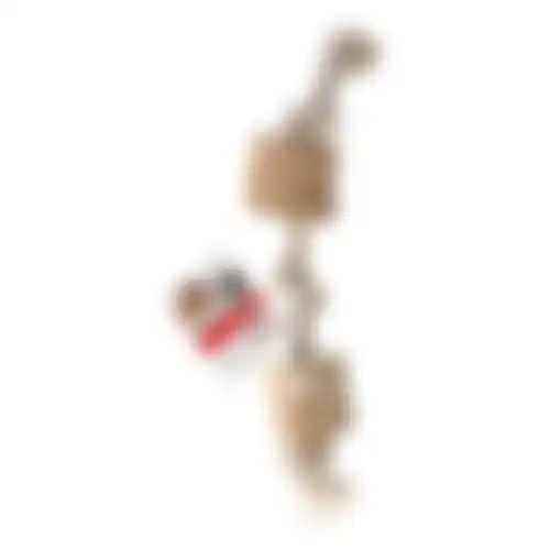 Speelgoed hond Java hout 2 blokken+touw bruin M FP