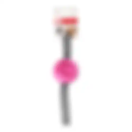 Speelgoed hond Xila foam bal fuchsia 29x6,5x6,5cm FP