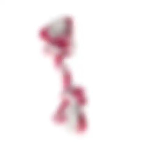 Speelgoed hond touw 20cm