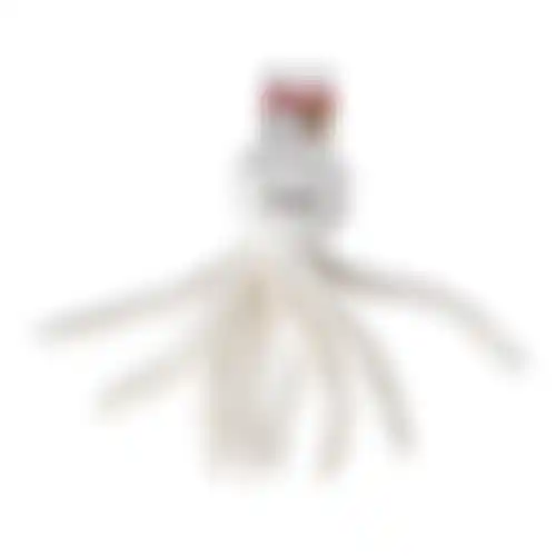 Speelgoed hond octopus wit 12,5x25cm FP