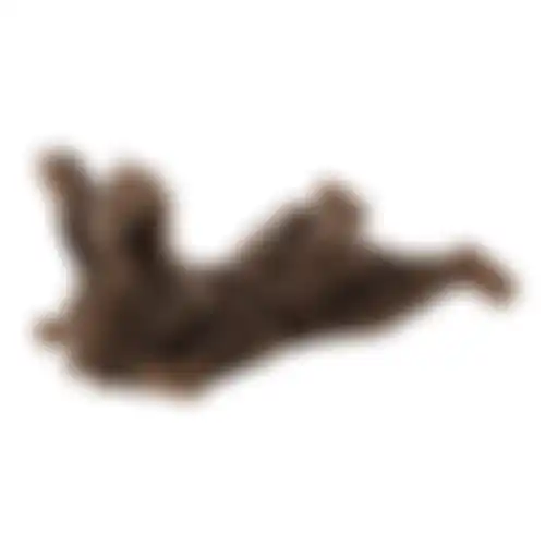 Speelgoed hond konijn bruin S 16x14cm FP