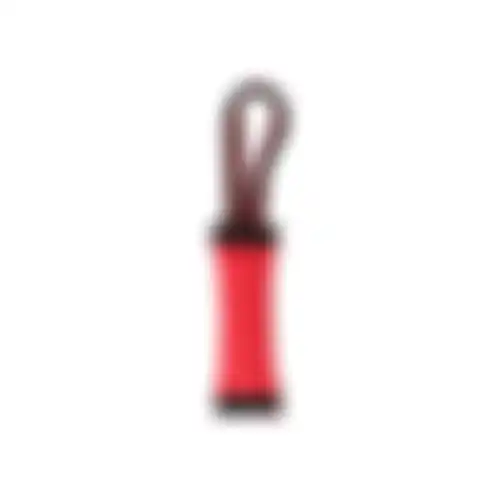 Speelgoed hond bal+bungee S 36x7cm FP