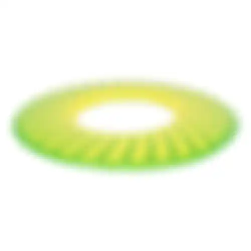 Speelgoed H Frisbee 25cm geel/groen