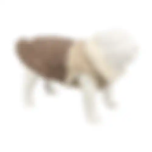 Vest hond dahra