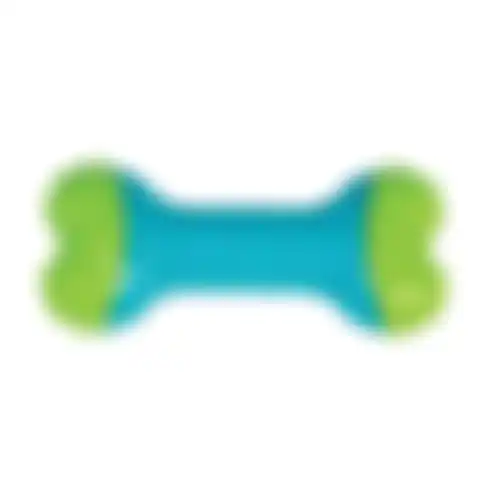 Speelgoed hond corestrength bone S