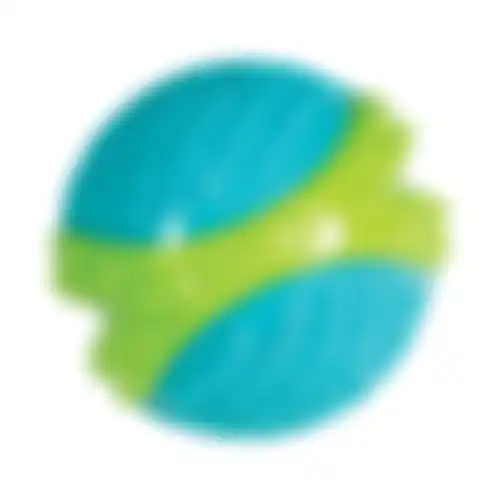 Speelgoed hond corestrength ball M