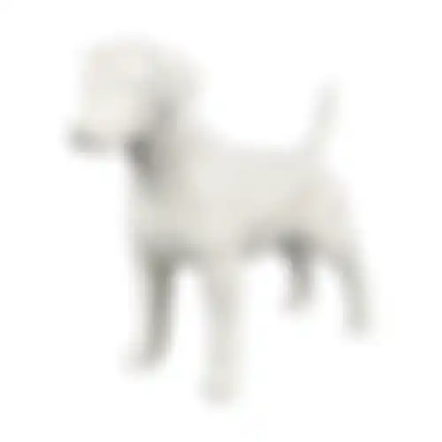 Paspop hond staand M wit