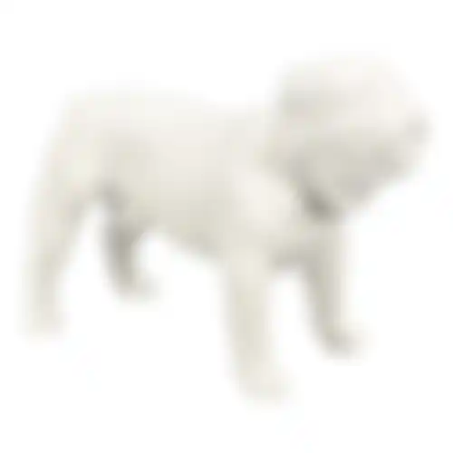 Paspop hond staand S wit